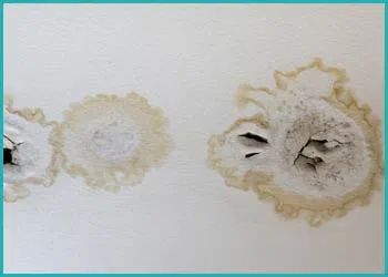 Delray Beach Water Damage Delray Beach, FL 561-330-5099 - cont-img-water-damage