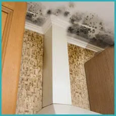 Delray Beach Water Damage Delray Beach, FL 561-330-5099